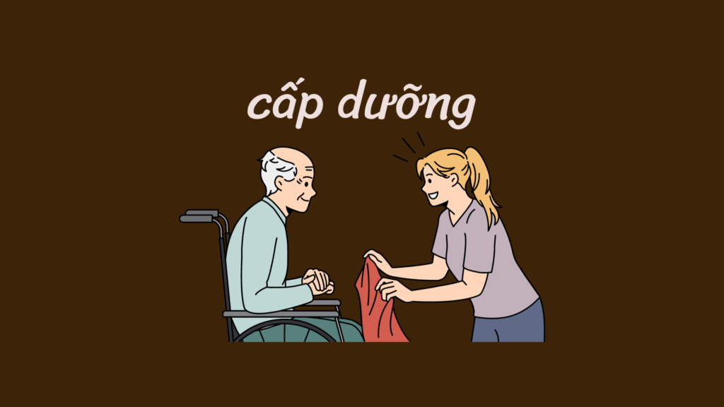 cấp dưỡng