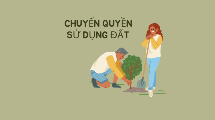 chuyển quyền sử dụng đất